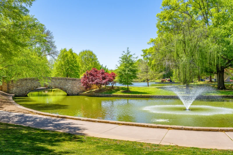 Freedom Park lake and bridge framed by trees