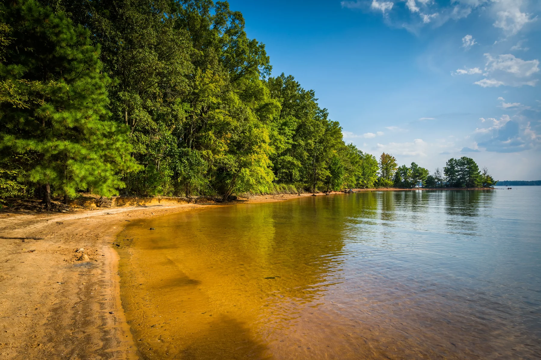 A quiet lakeside view at Jetton Park